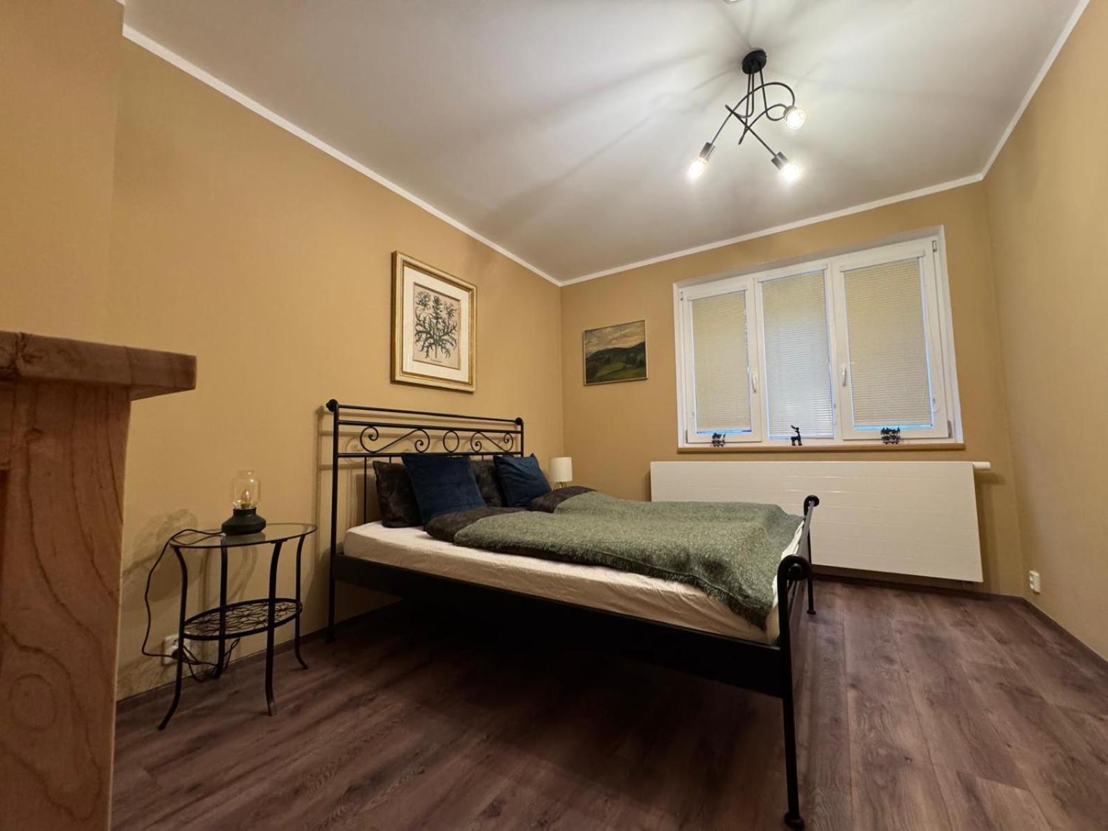 Za Kralovskou Mincovnou Appartement Jáchymov