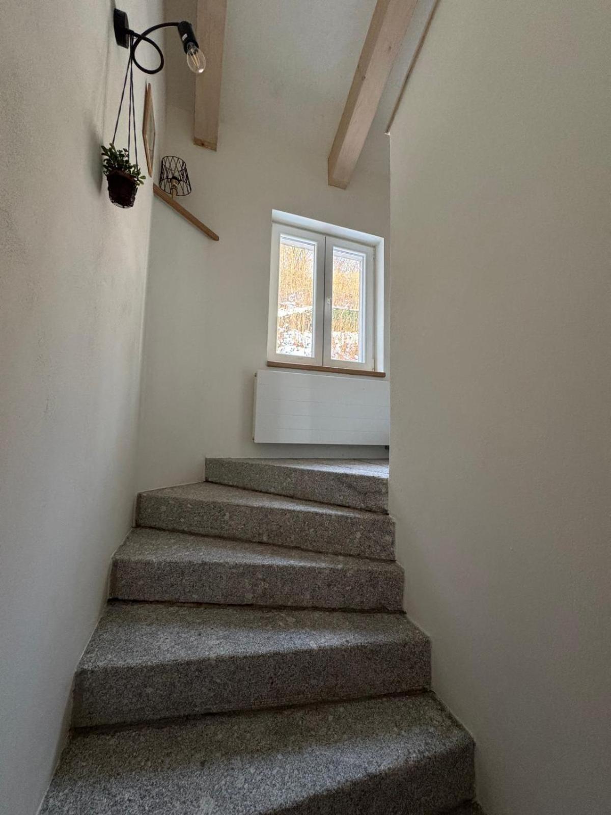 Za Kralovskou Mincovnou Appartement Jáchymov